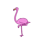 430_flamingo.gif